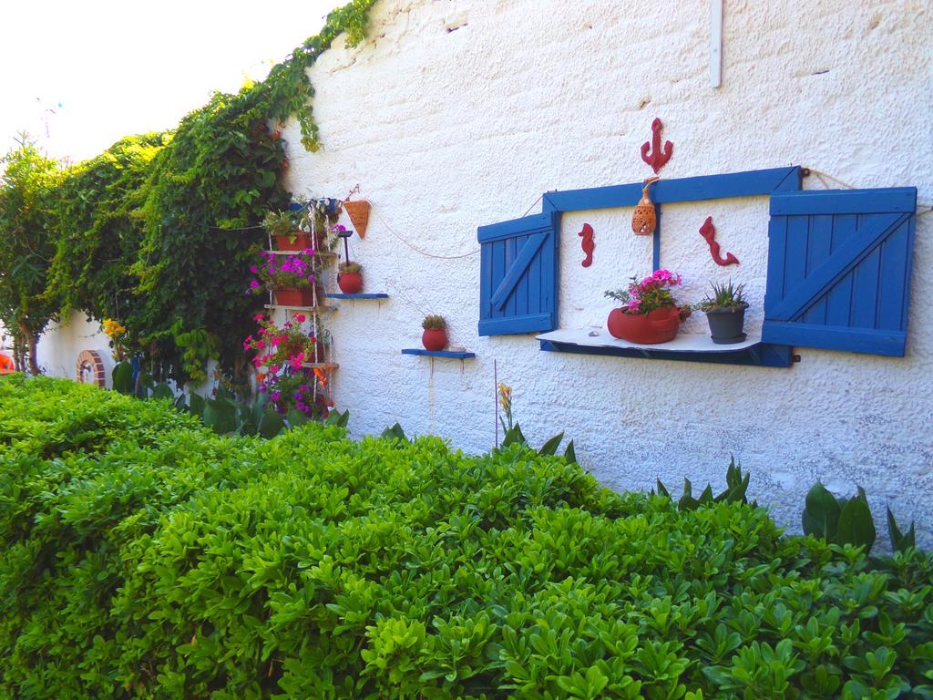 Katerina Seaside Studios Platanés Exterior foto
